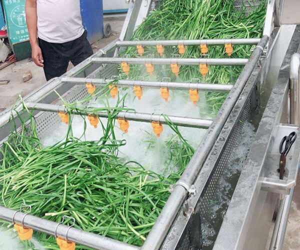 蔬菜清洗機